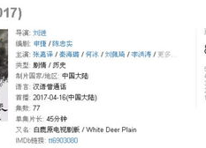 国产精品800部,匠心独运，光影流年